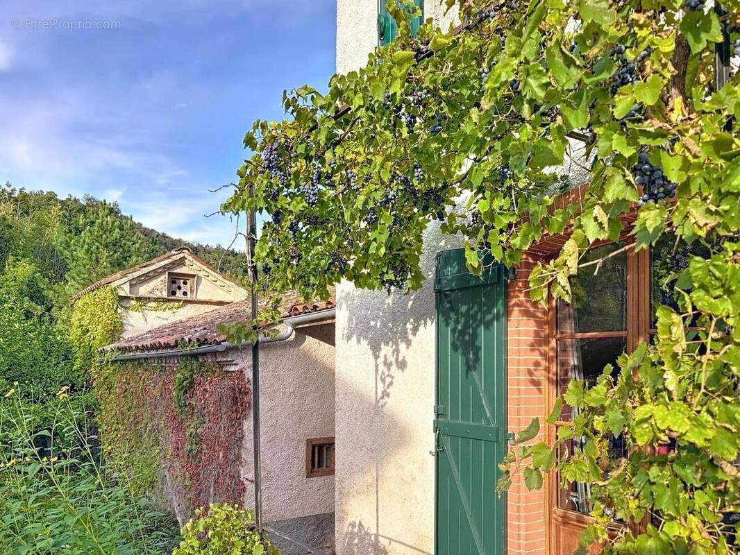 Photo 1 - Maison à SAINT-PAUL-DE-JARRAT