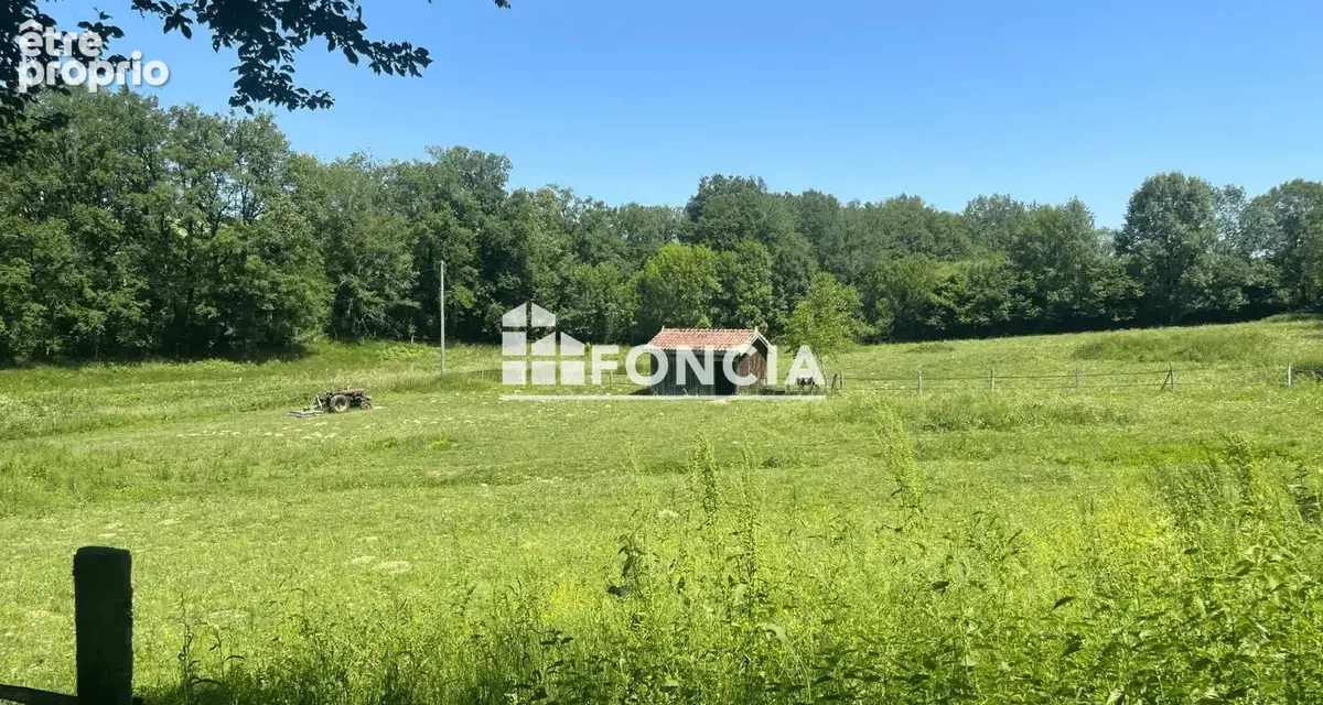 PAMPELONNE Propriété de caractère - photo 13