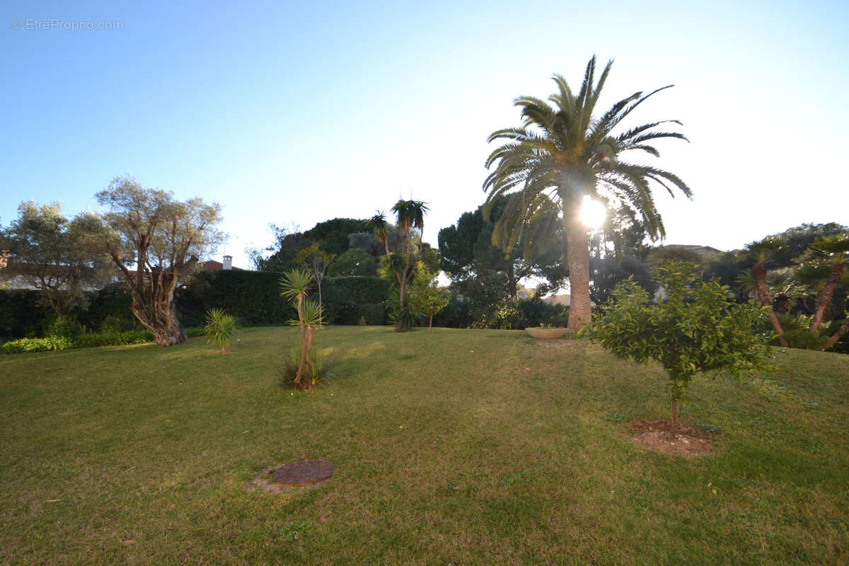 Appartement à VALLAURIS