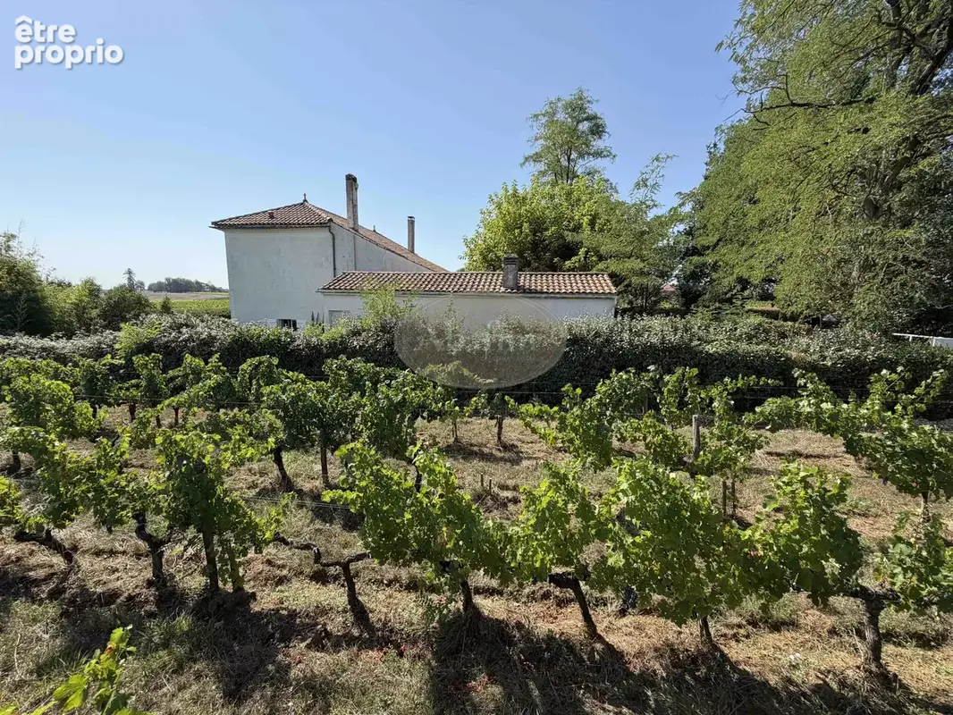Maison 157 m² à Ordonnac  - photo 7