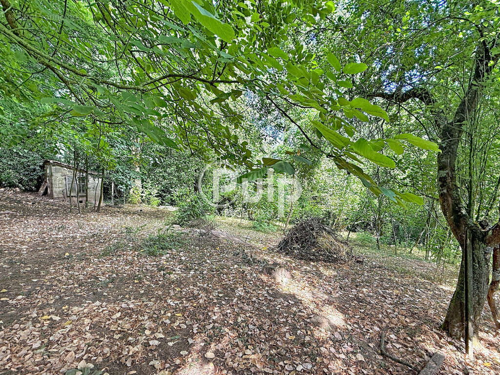 Maison de campagne - photo 19