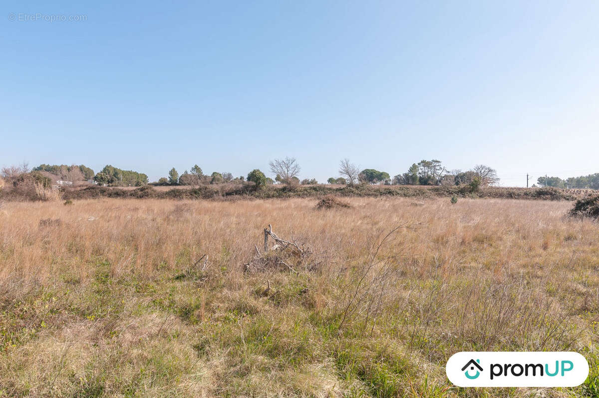 Terrain à LUNEL-VIEL