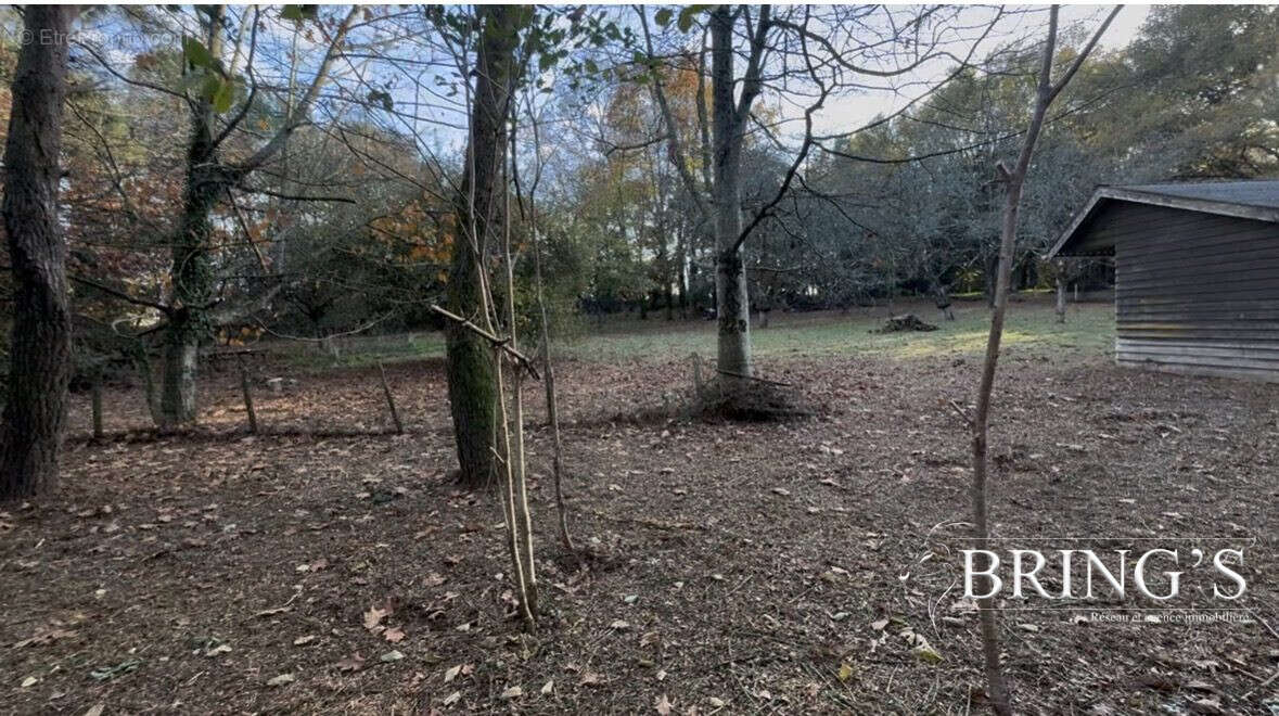 Terrain à CHATEAUBRIANT