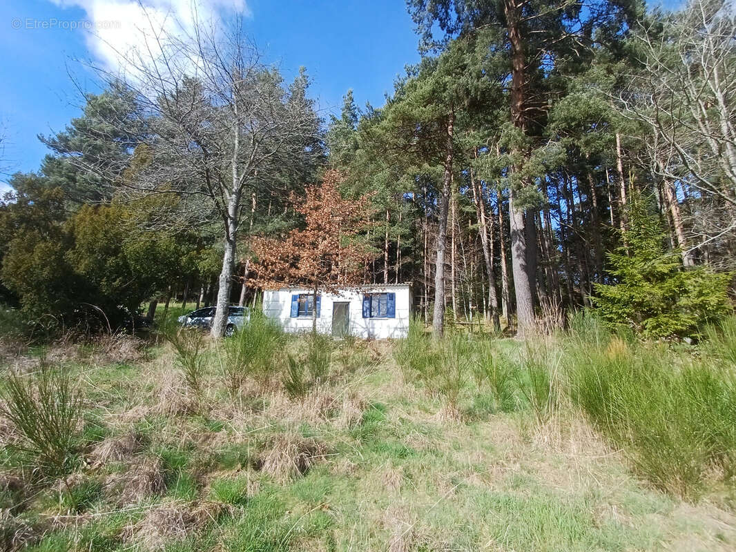 Terrain à SAINT-GEORGES-LAGRICOL