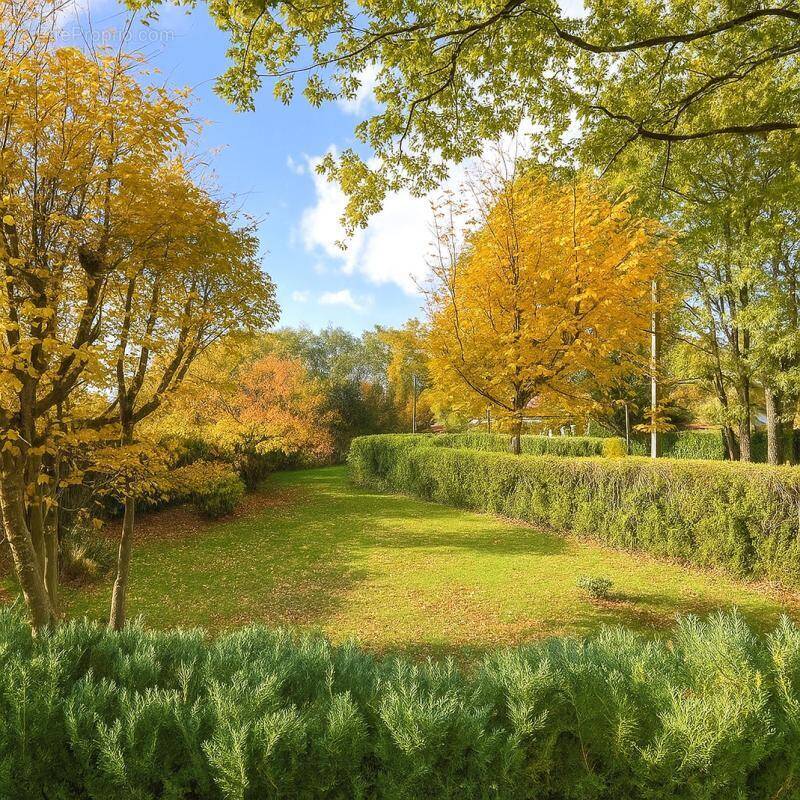 Terrain à DAMMARIE-LES-LYS