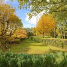 Terrain à DAMMARIE-LES-LYS