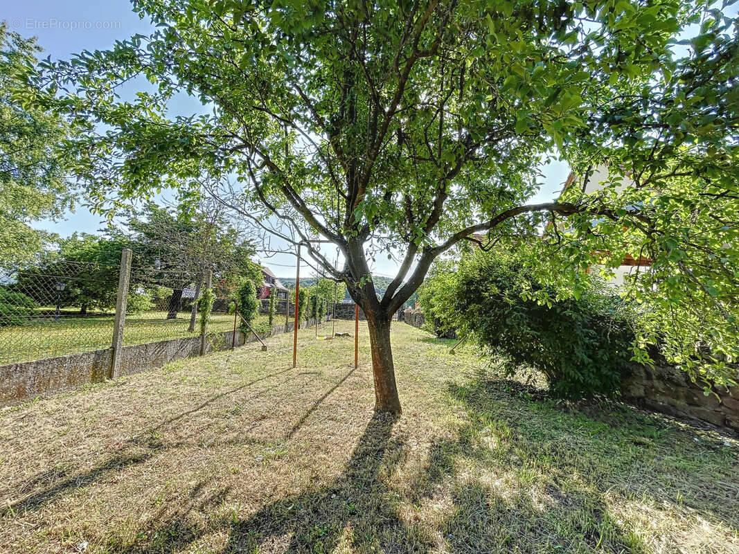 Terrain à WASSELONNE