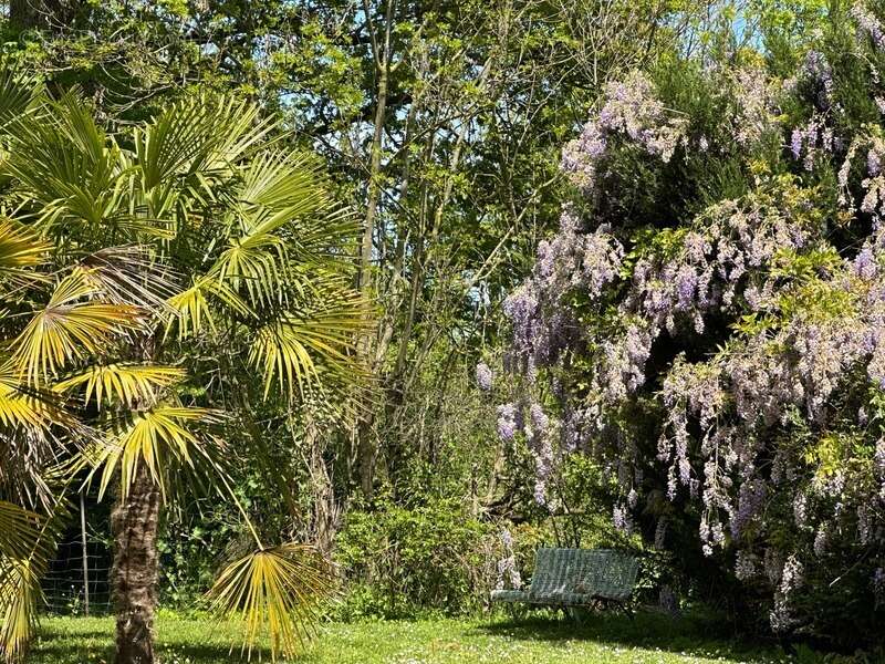 Maison de campagne, isolée, parc arboré, piscine - photo 7