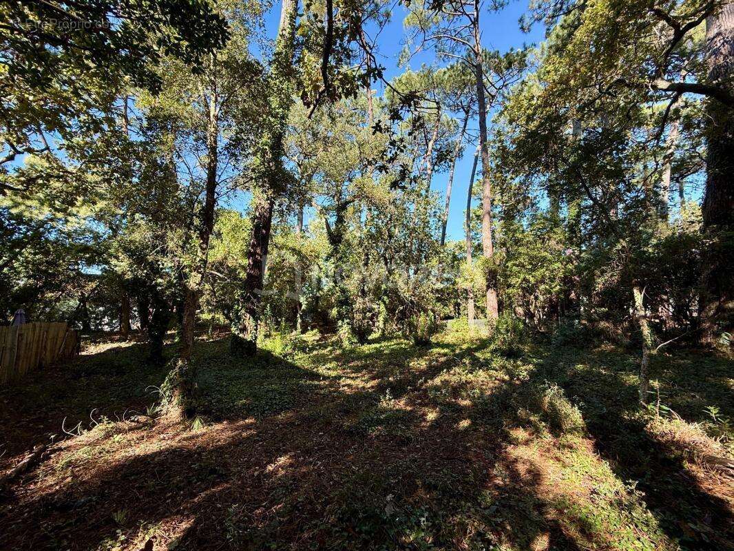 Terrain à CAPBRETON