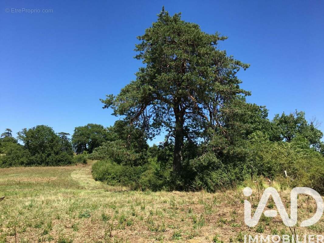 Photo 7 - Terrain à VIVONNE