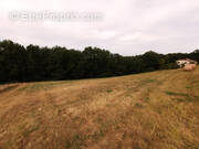 Terrain à ORDAN-LARROQUE