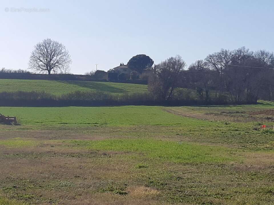 Terrain à MERVILLE