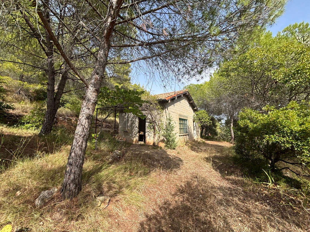 Terrain à PUISSERGUIER