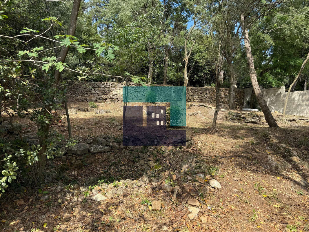 Terrain à MONTPELLIER