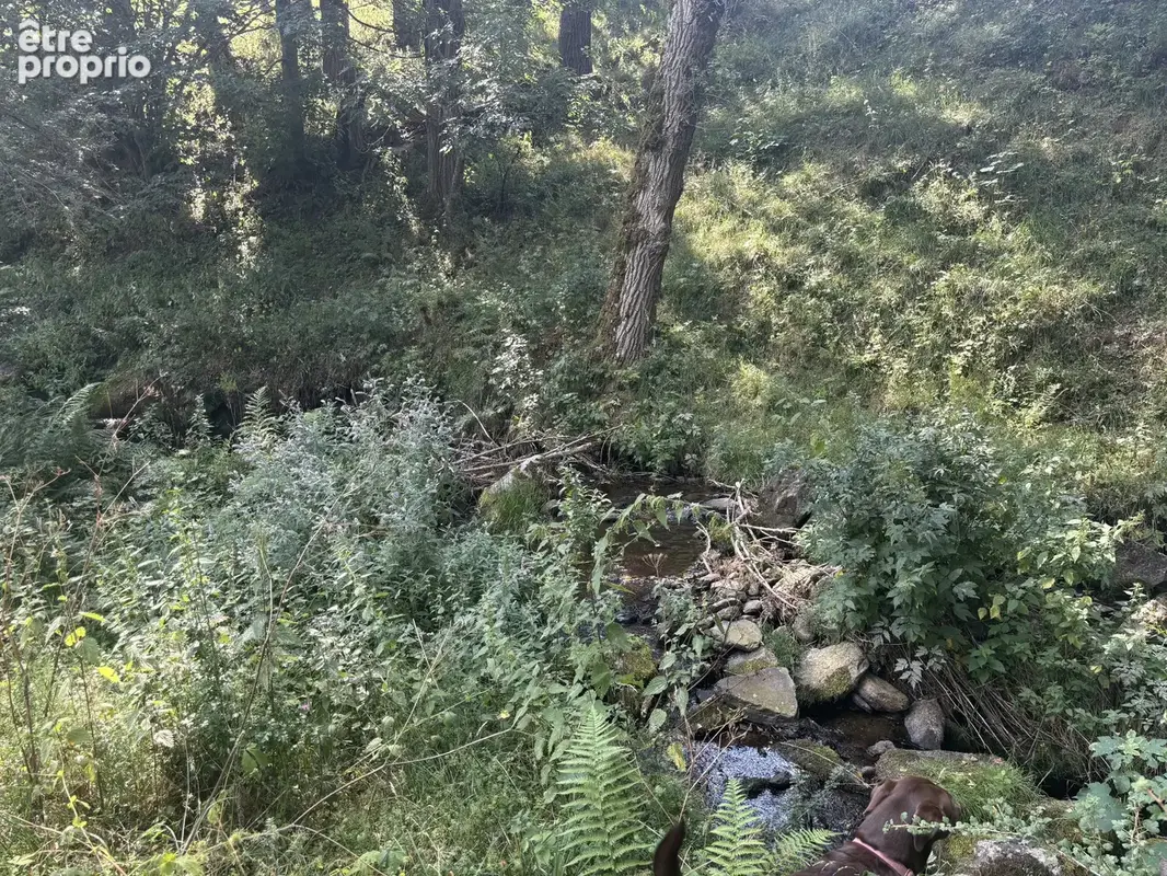Exclusivité - terrain de 1 716 m² avec deux ruines en pierre - photo 3
