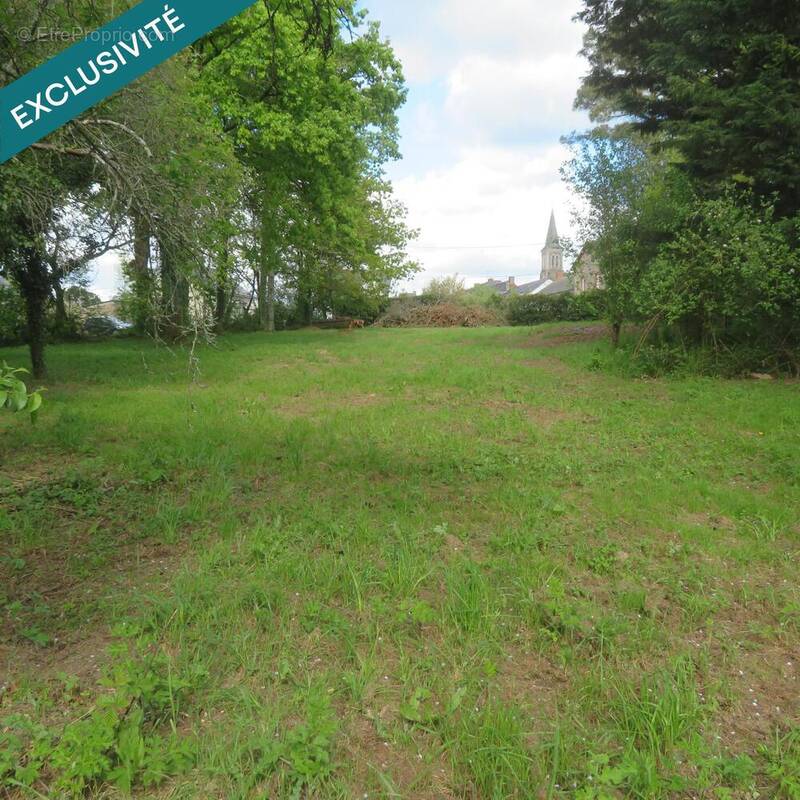 Photo 1 - Terrain à LA GRIGONNAIS