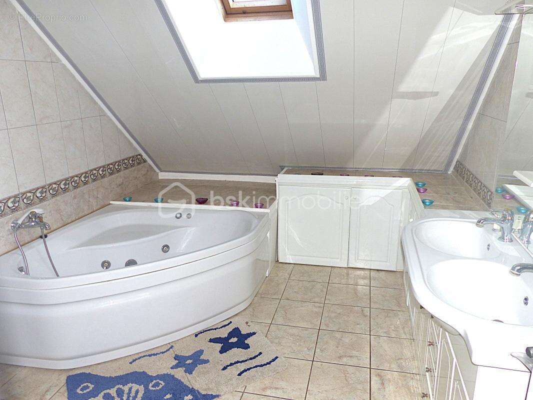 Maison à AILLANT-SUR-THOLON