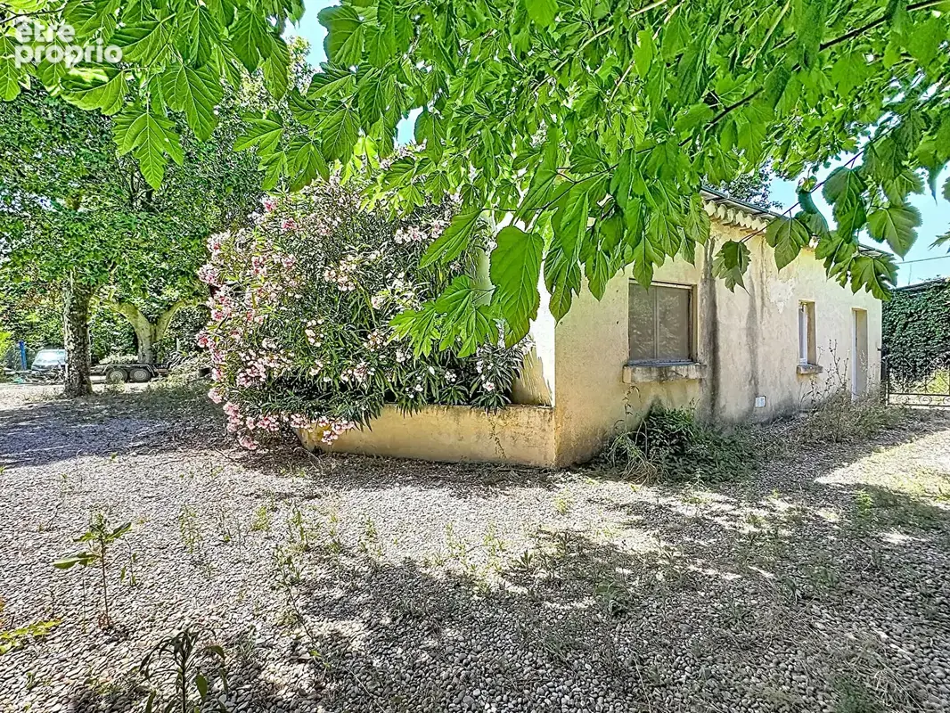 Montfavet mas de caractère à rénover ? fort potentiel - photo 4