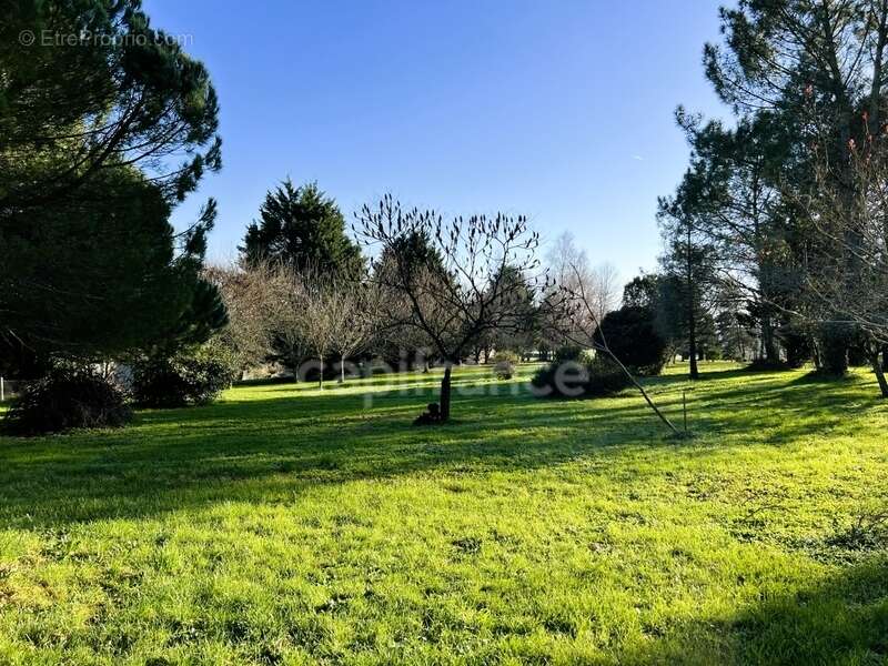 Maison à CHEVANCEAUX