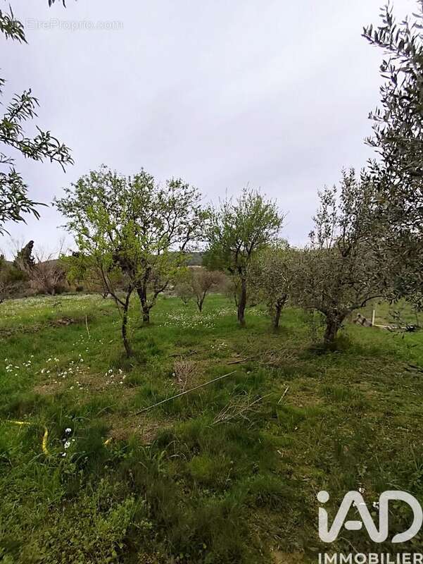 Photo 9 - Maison à CESSERAS