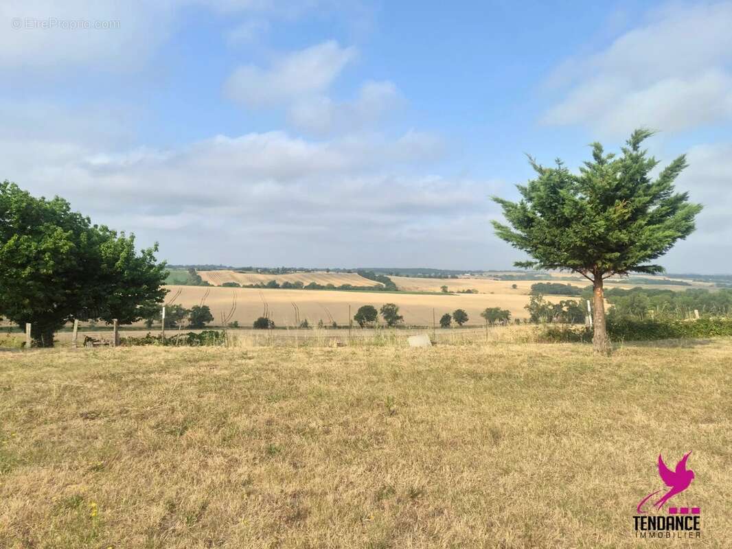 Maison T4 de 125 m² avec vue sur les Pyrénées et terrain de 3 550 m². - photo 12