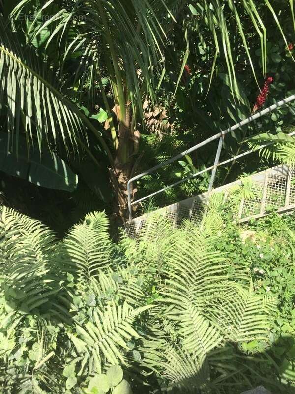 Maison à PETIT-BOURG