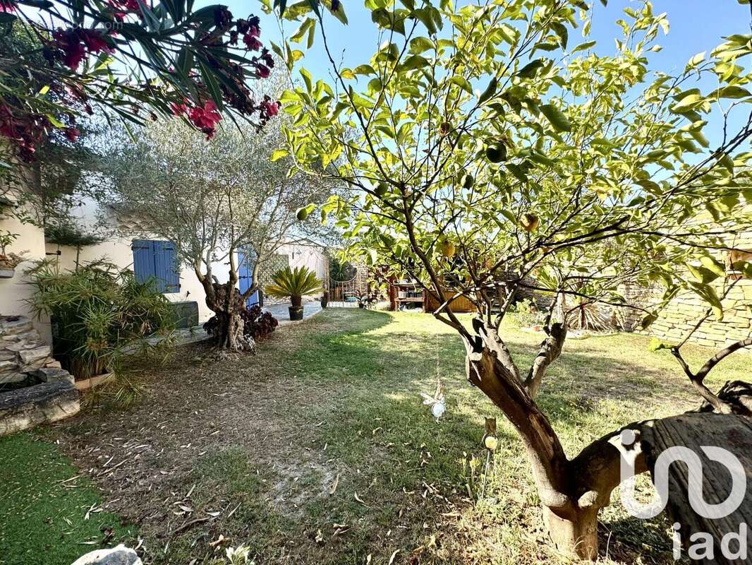 Photo 7 - Maison à NAGES-ET-SOLORGUES