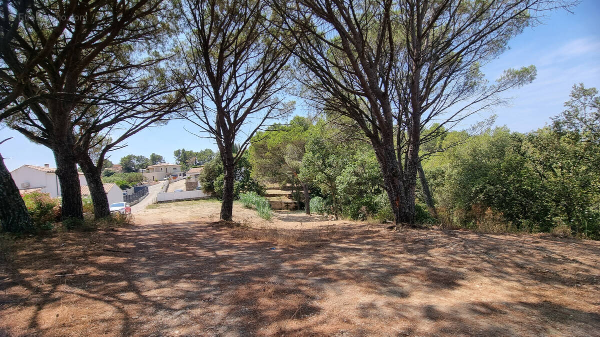 Terrain à PIERREFEU-DU-VAR