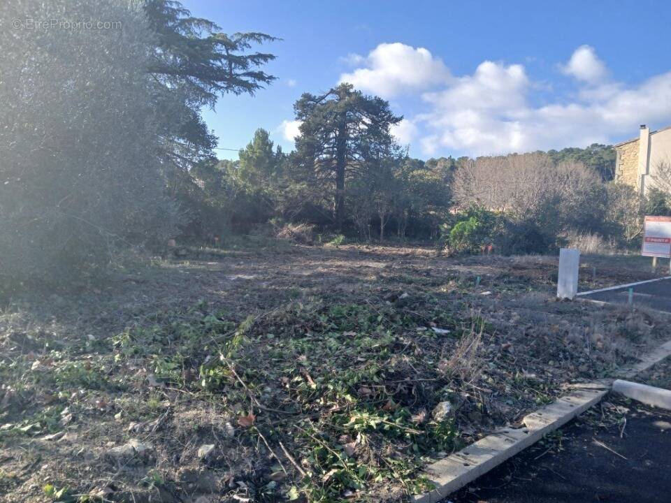 Terrain à CONGENIES