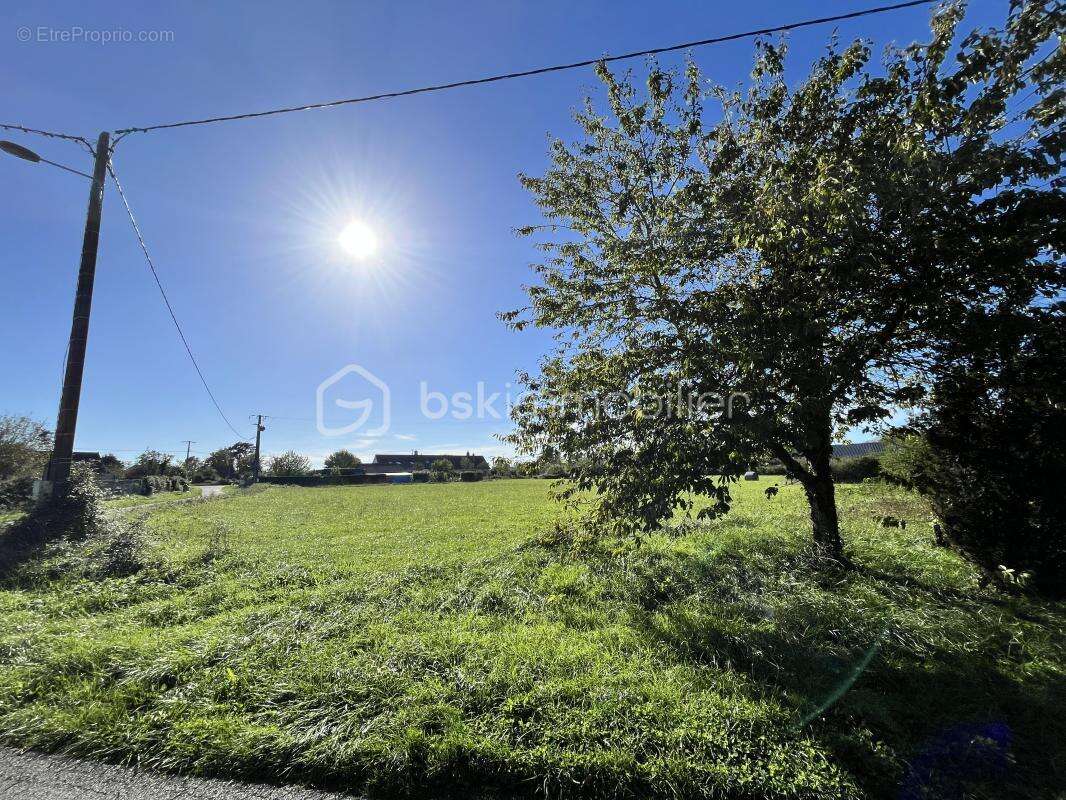 Terrain à JUSSY-LE-CHAUDRIER