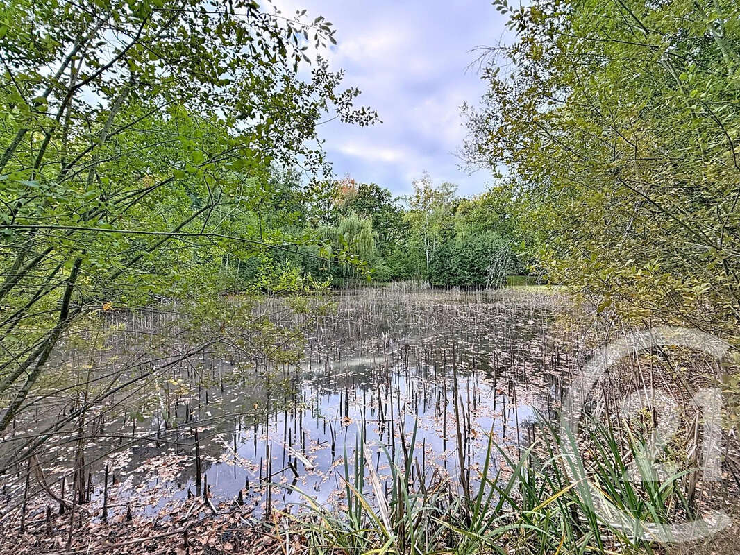 Maison à MENESTREAU-EN-VILLETTE