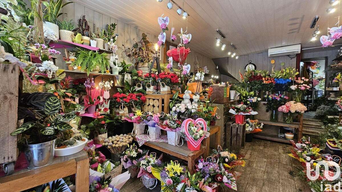 Photo 2 - Commerce à MARSEILLE-10E