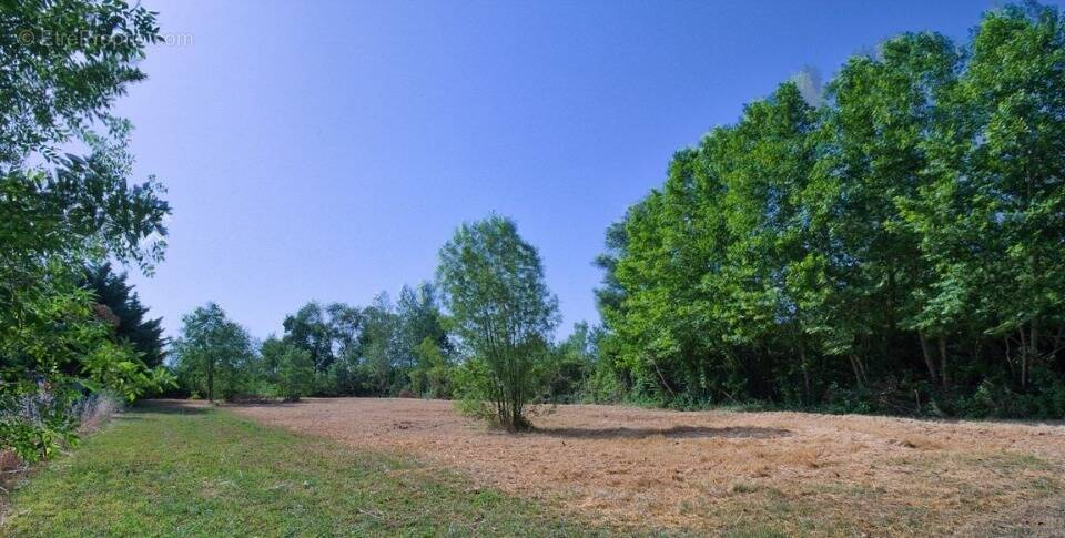 Terrain à CASTELNAUDARY
