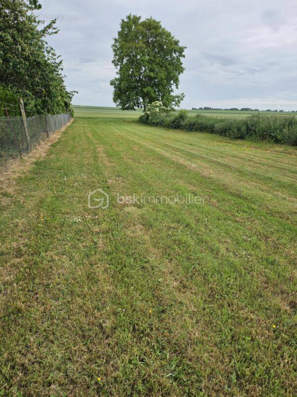 Terrain à ESCLAINVILLERS