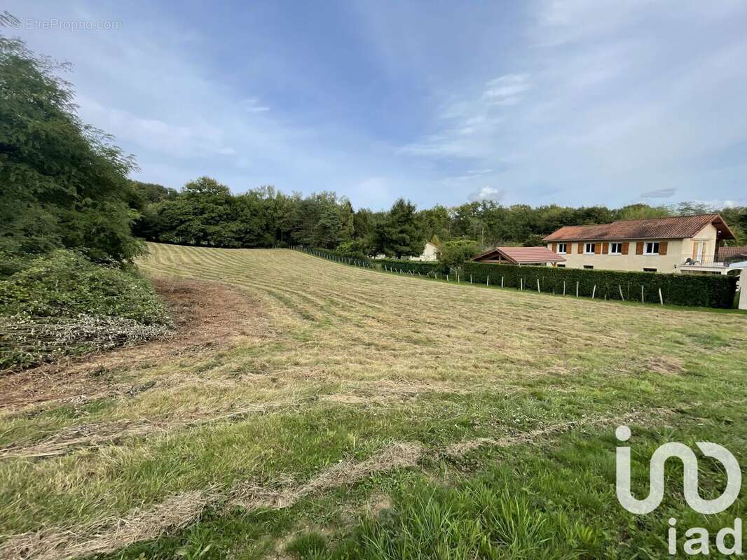 Photo 3 - Terrain à NEUVILLE-SUR-AIN