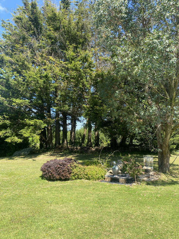 Maison à PLOUEC-DU-TRIEUX