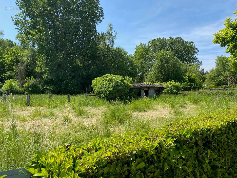 Terrain à RIEULAY