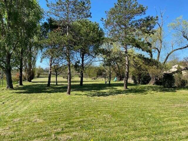 Maison à SAINT-LOUBES