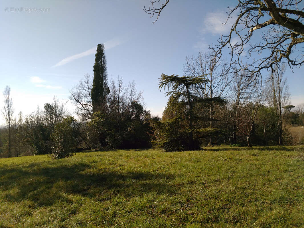 Maison à PUYLAURENS