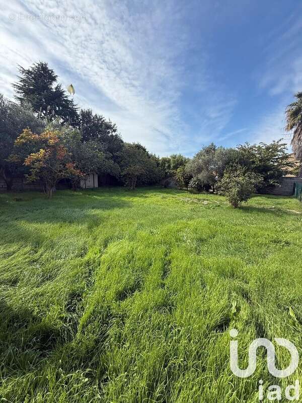 Photo 2 - Terrain à SIX-FOURS-LES-PLAGES