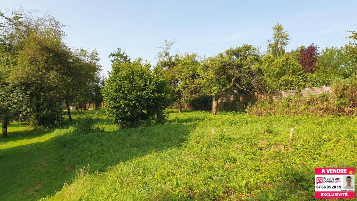 Terrain à BETHONCOURT