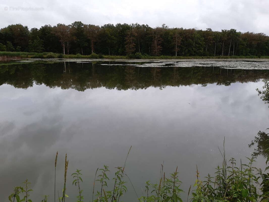 Terrain à TOUL