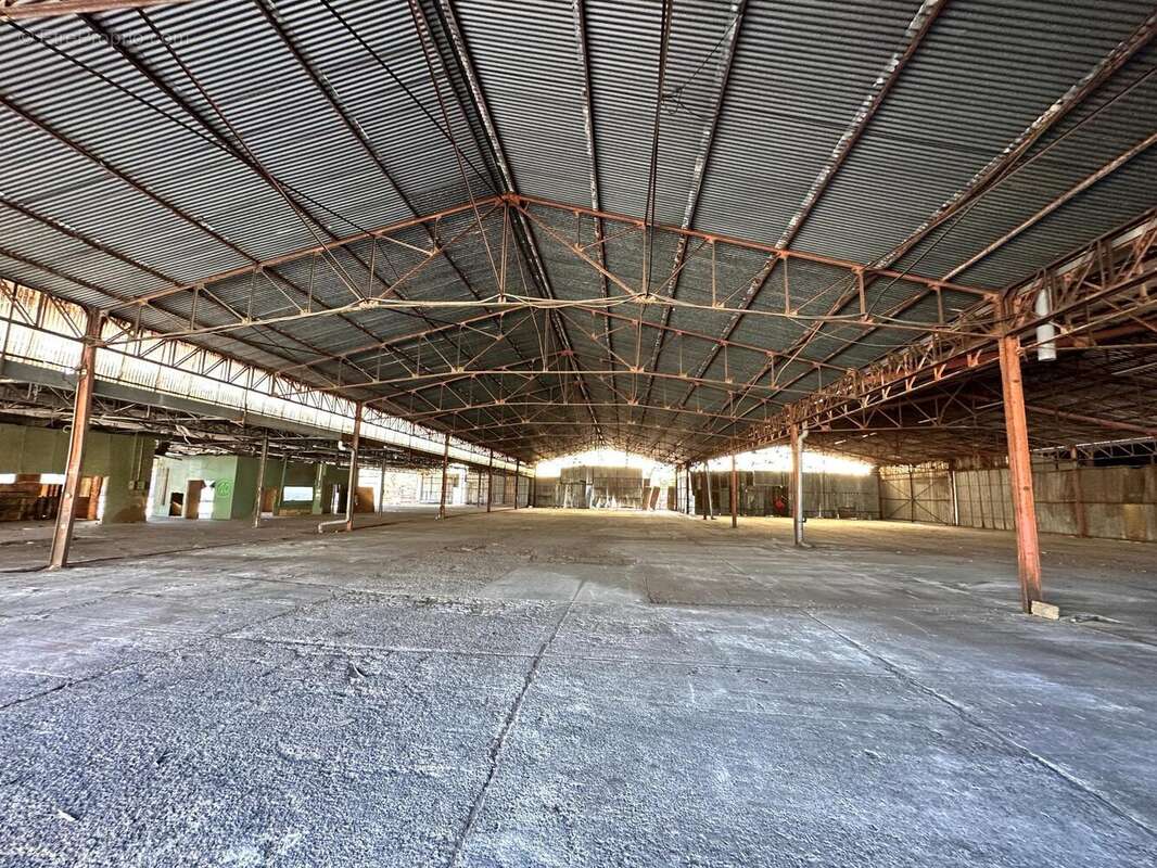 Commerce 4000 m² à Mont-De-Marsan  - photo 9