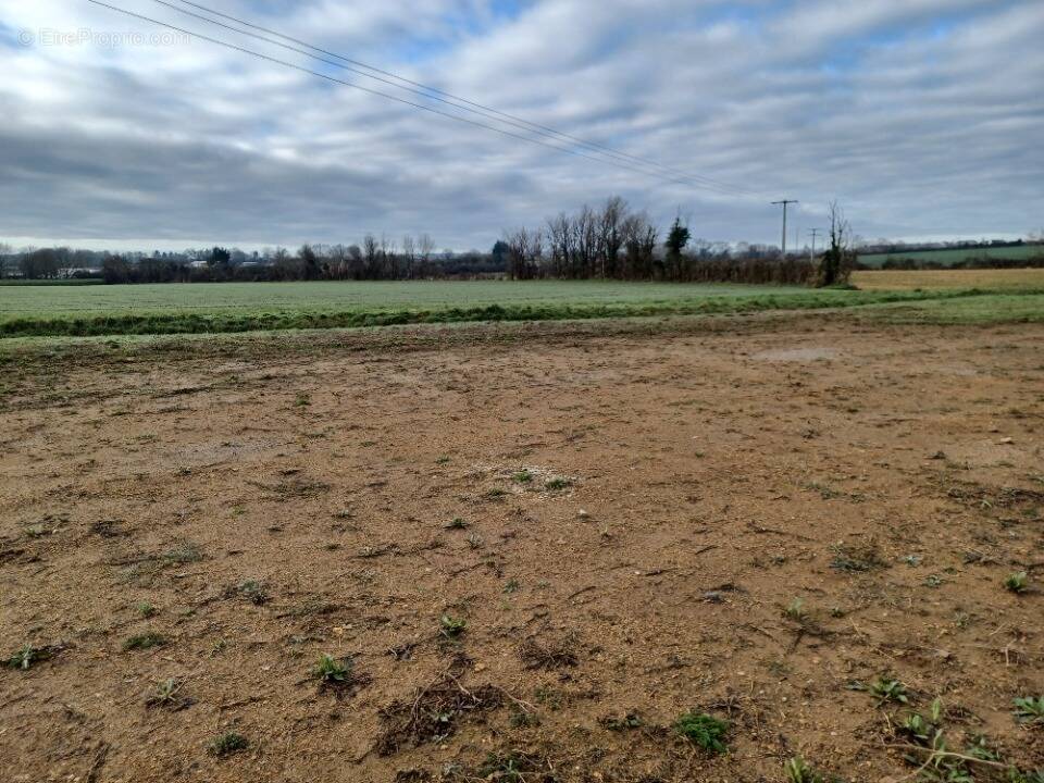 Terrain à SAINT-AUBIN-DE-LOCQUENAY