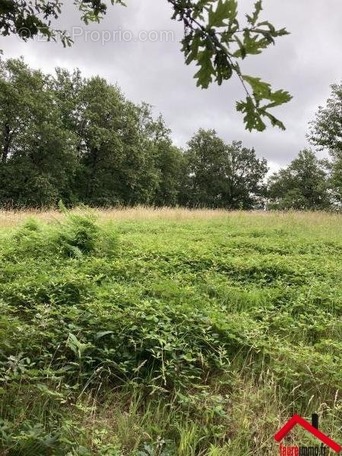 Terrain à CHABRIGNAC