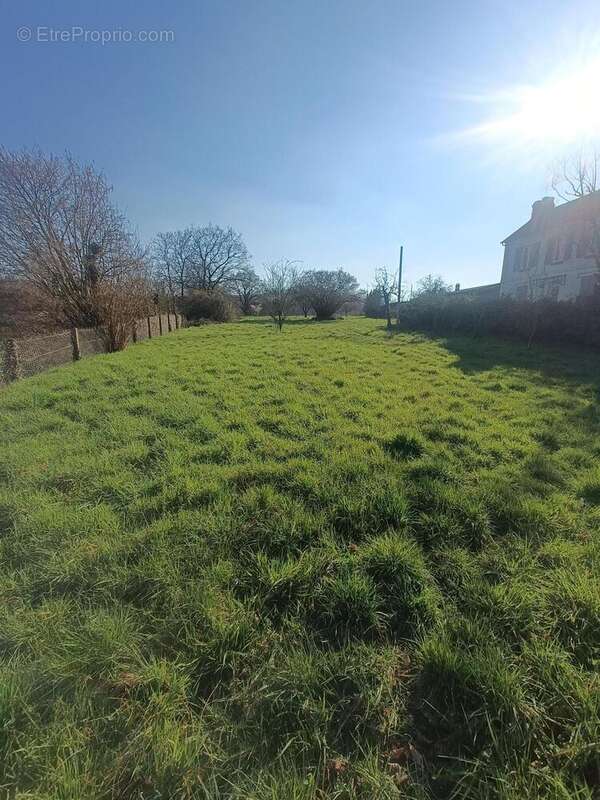 Photo 4 - Terrain à LES DAMPS