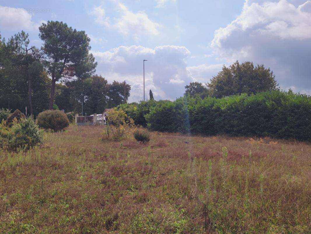 Terrain à BIGANOS