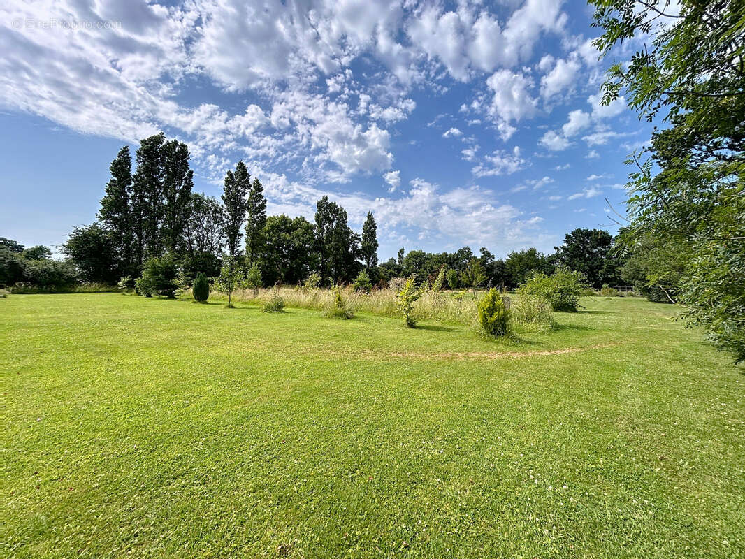 Maison à NEUFMESNIL