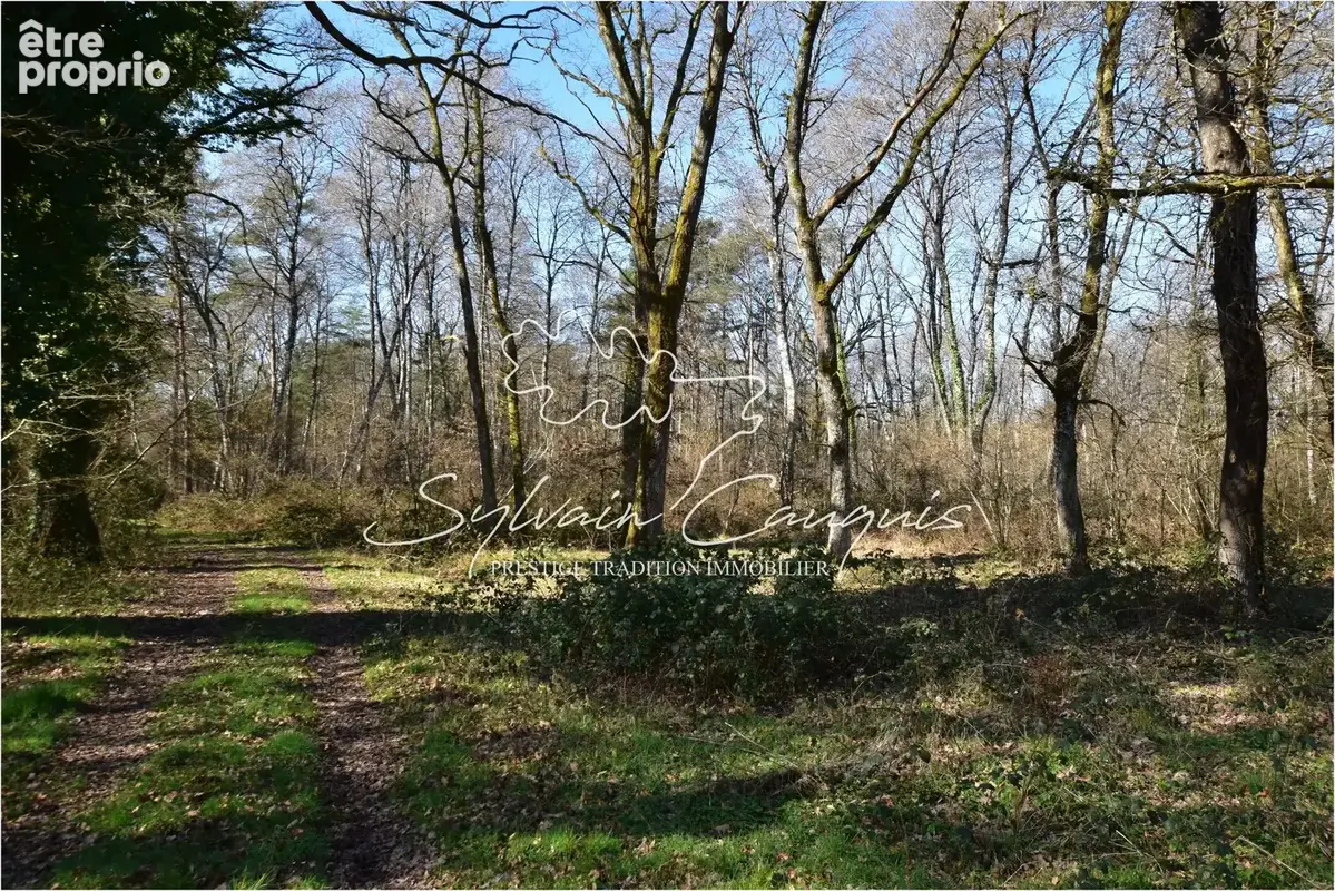 Propriété de Chasse ou d'Agrément de 60 hectares en Sologne - photo 2