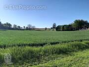 Terrain à GEZONCOURT